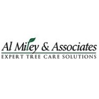 Al Miley Arborist | Tree Removal Toronto